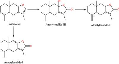 Molecular targets associated with ulcerative colitis and the benefits of atractylenolides-based therapy